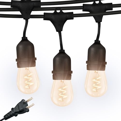 Ambience Pro Waterproof LED Outdoor String Lights (48 Foot)