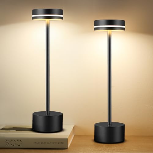 2 Pack LED Cordless Table Lamp Rechargeable (2 Count)