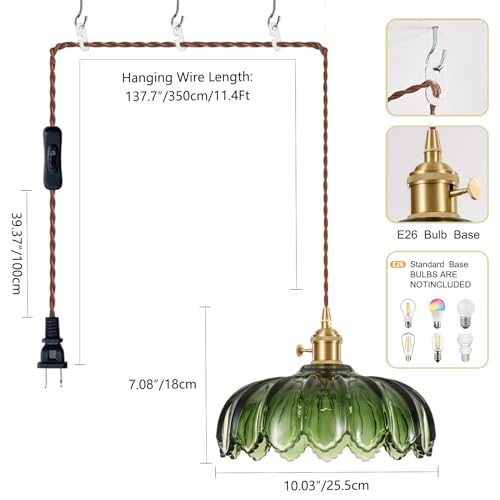 Plug in Pendant Light Fixtures