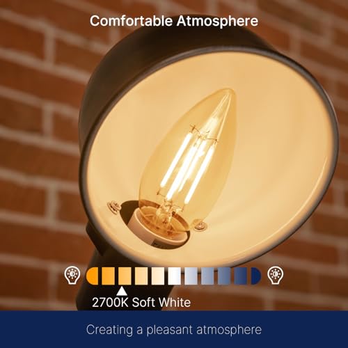 Dimmable Candelabra Light Bulbs 60W Equivalent E26 Base (6 Count)