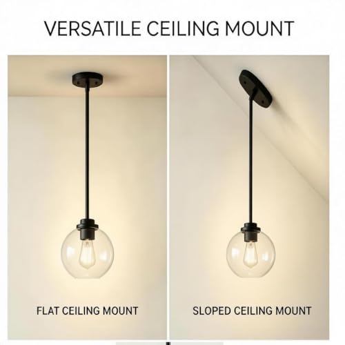 Black Globe Pendant Light (2 Count)