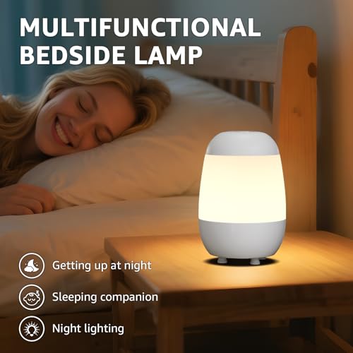 2 Pack Rechargeable Small Night Light Touch Dimmable Cordless Lamp (2 Count)