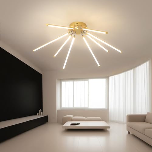 Modern LED Ceiling Light