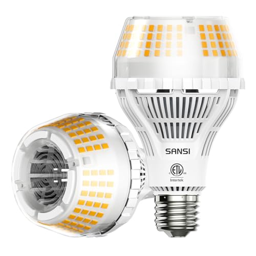 200W Equivalent Bright Light Bulbs 2 (2 Count)