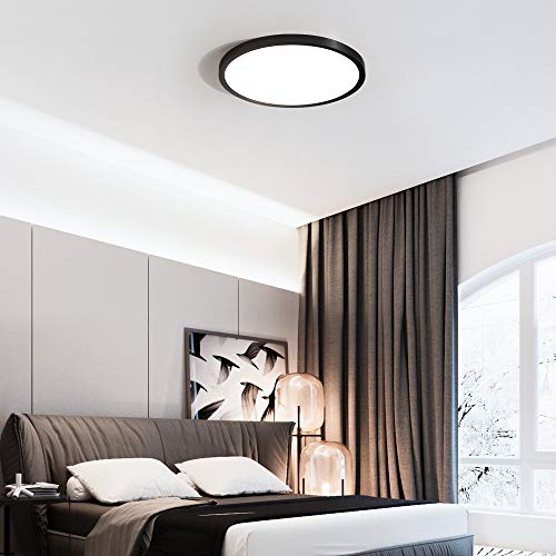 Surface Mount LED Ceiling Light 12 Inch (2 Count)