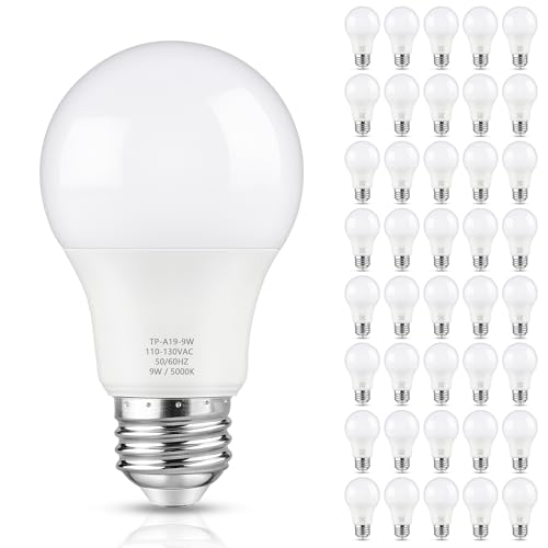 A19 LED Light Bulbs (40 Count)