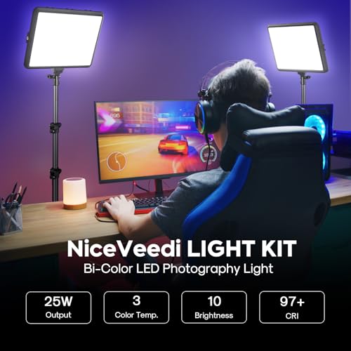 2 Pack Photography Lighting Kit (2 Count)