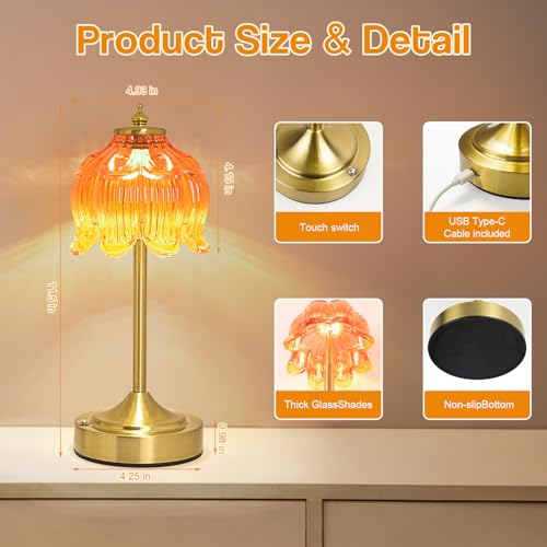 Cordless Table Lamp