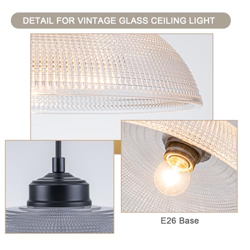 EDSILIVE Vintage Glid Glass Pendant Lights Kitchen Island 13.78" Barn Dome Clear Glass Hanging Ceiling Light Fixture with Black Finish for Dining Room Kitchen Table