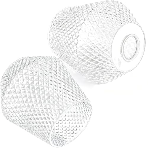 2Pcs Small Glass Lamp Shades (2 Count)