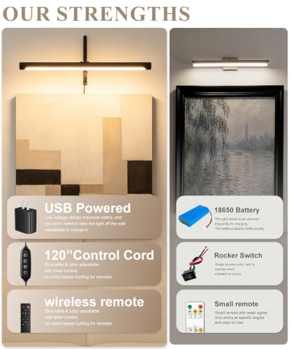 Plug in Picture Light for Wall (Black / 16 Inch)