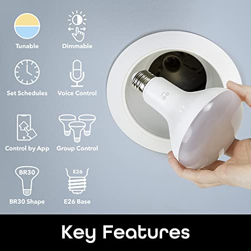 LUX Drop Wi Fi LED Light Bulb