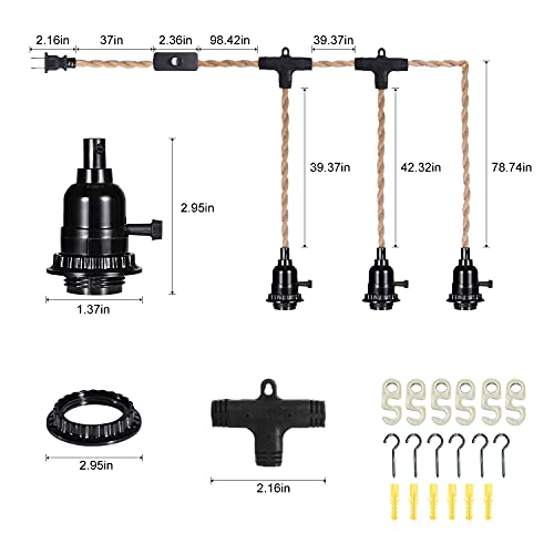 Plug in Hanging Light Fixture