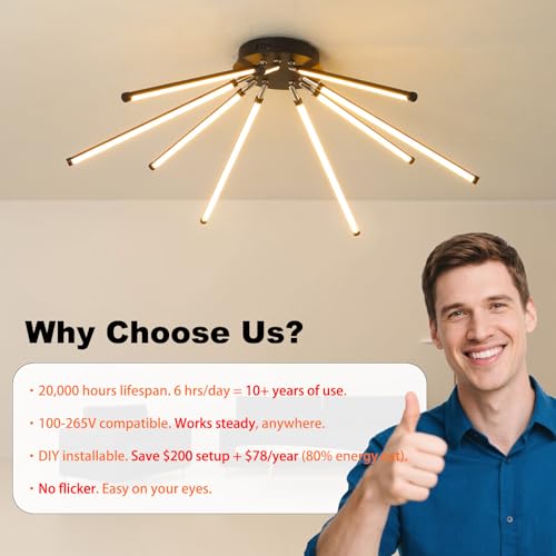 Modern LED Ceiling Light