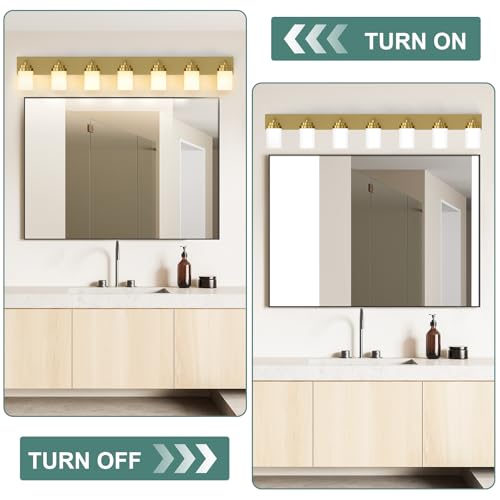 Bathroom Vanity Light Fixture