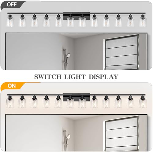 12 Light Bathroom Light Fixtures