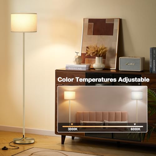 60'' Modern Floor Lamp with Remote