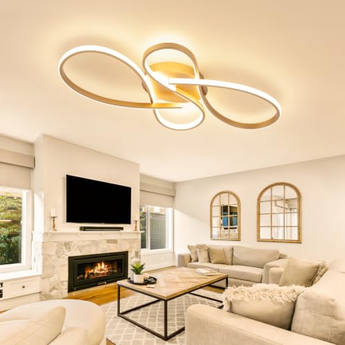 66W Dimmable Modern LED Ceiling Light Fixtures 3000K