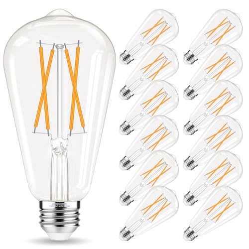 Edison Bulbs 60 watt LED (12 Count)