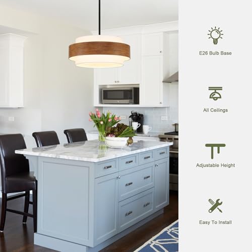20'' Farmhouse Chandelier