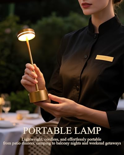 2 Pack LED Cordless Table Lamp Rechargeable (2 Count)