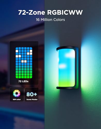 Outdoor Wall Light Pro (2 Count)