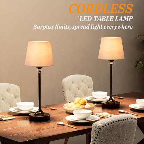 Cordless Table Lamp Rechargeable Bronze