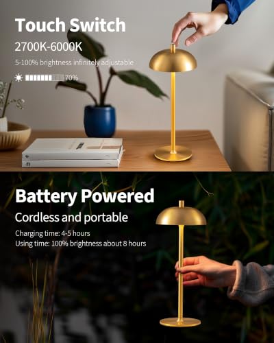 12" Cordless Table Lamps Set of 2 (2 Count)