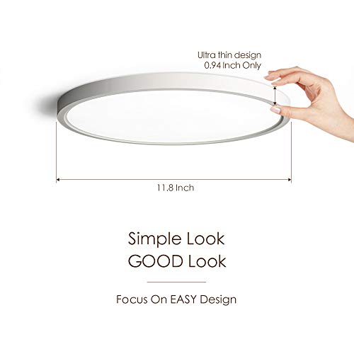 12 Inch Flush Mount Ceiling Light