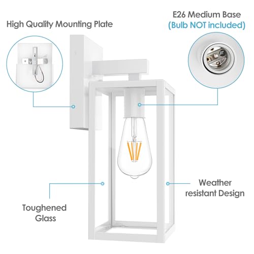 Outdoor Wall Light Fixtures (2 Count)