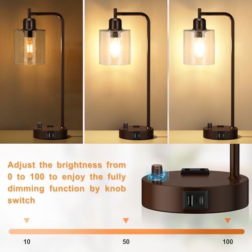 Brown Industrial Bedside Table Lamp for Bedroom