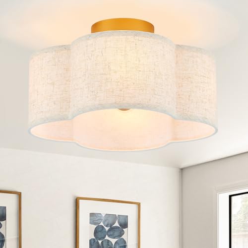 Semi Flush Mount Ceiling Light Fixture