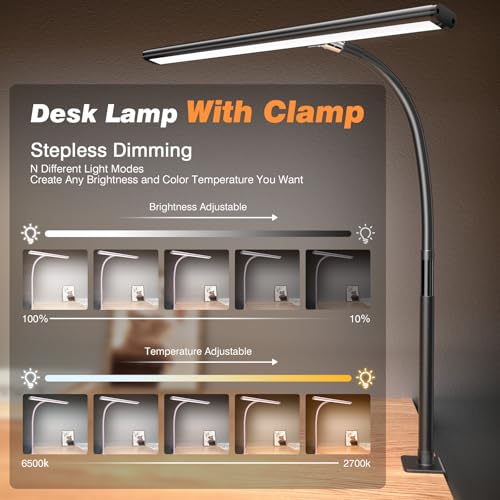 LED Desk Lamp with Clamp