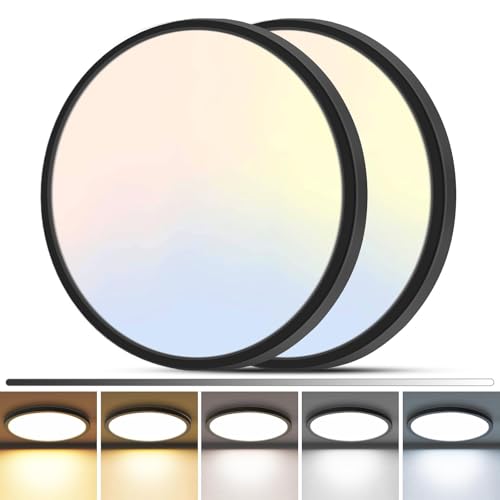 2Pack LED Flush Mount Ceiling Light (2 Count)