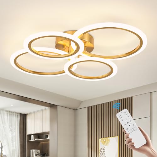 Modern LED Ceiling Light