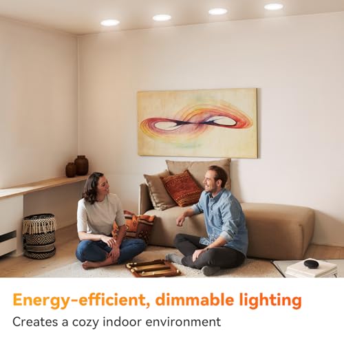 12 Pack BR30 Flood Light Bulb Indoor (12 Count)