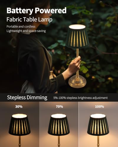 Gold Cordless LED Table Lamps Set of 2 (2 Count)