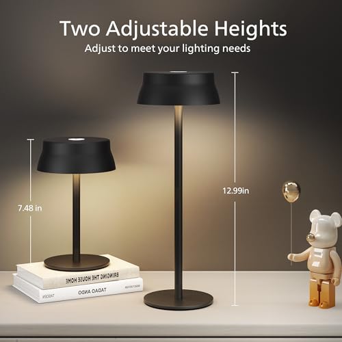 Cordless Table Lamp
