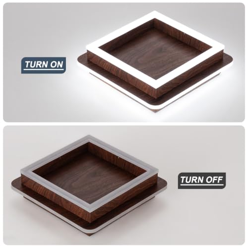 Square Modern LED Light Fixture