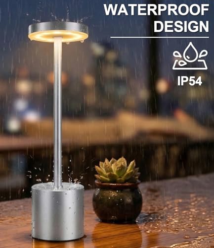 Silver Cordless Table Lamp Rechargeable (2 Count)