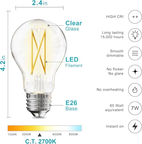 6 Pack A19 Vintage LED Edison Bulbs (6 Count)