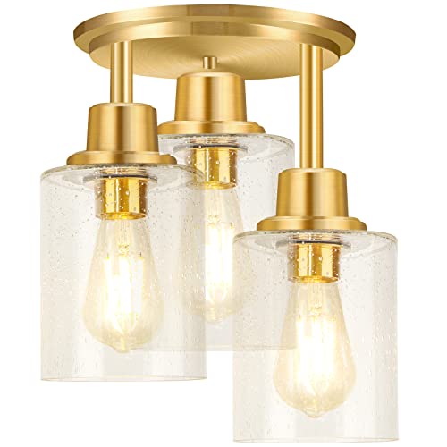 Semi Flush Mount Ceiling Light