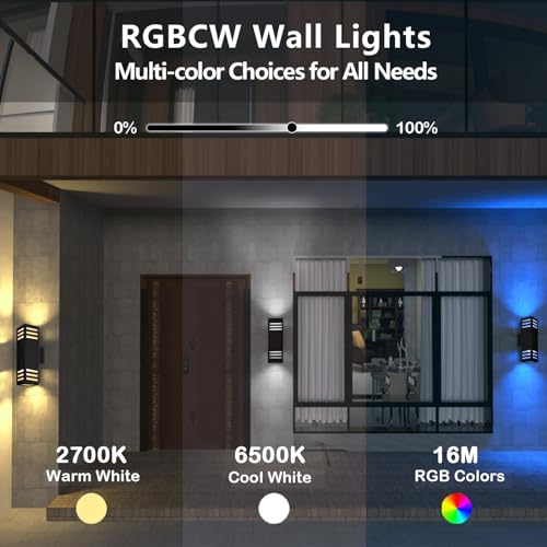 Smart Outdoor Wall Sconce