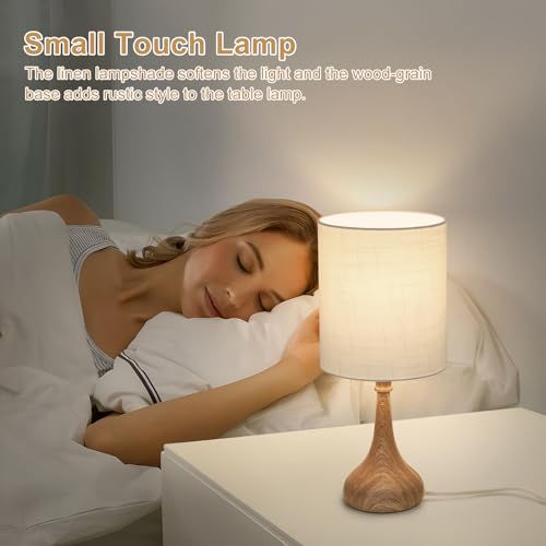 Dimmable Small Table Lamp