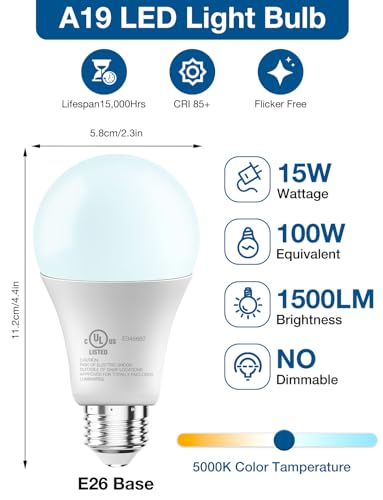 LED Light Bulbs (12 Count)