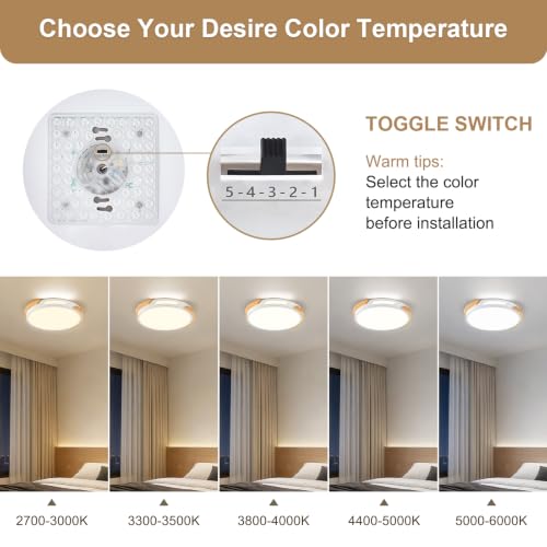 Modern LED Ceiling Light