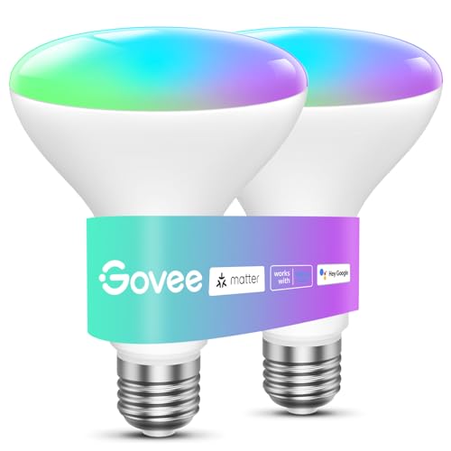 Smart Light Bulbs (2 Count)