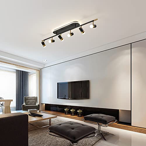 Modern LED Ceiling Lights