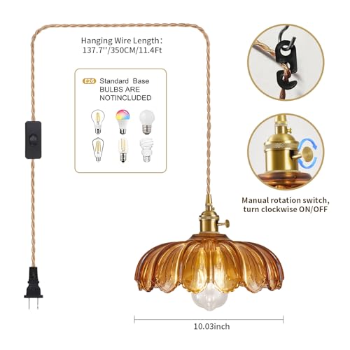 Plug in Pendant Light