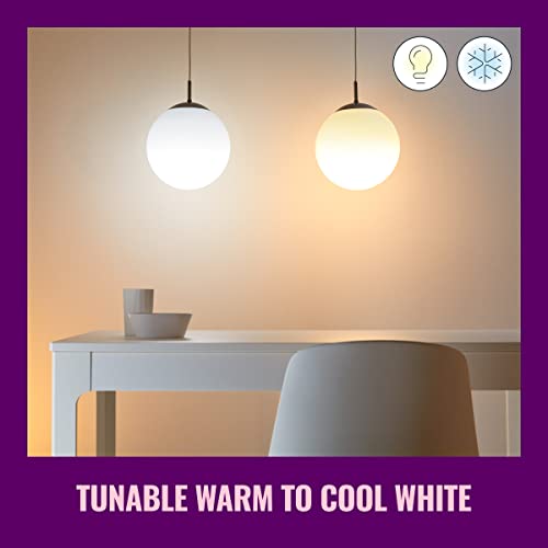 WiZ Clear 60W A19 Tunable White Filament LED Smart Bulb